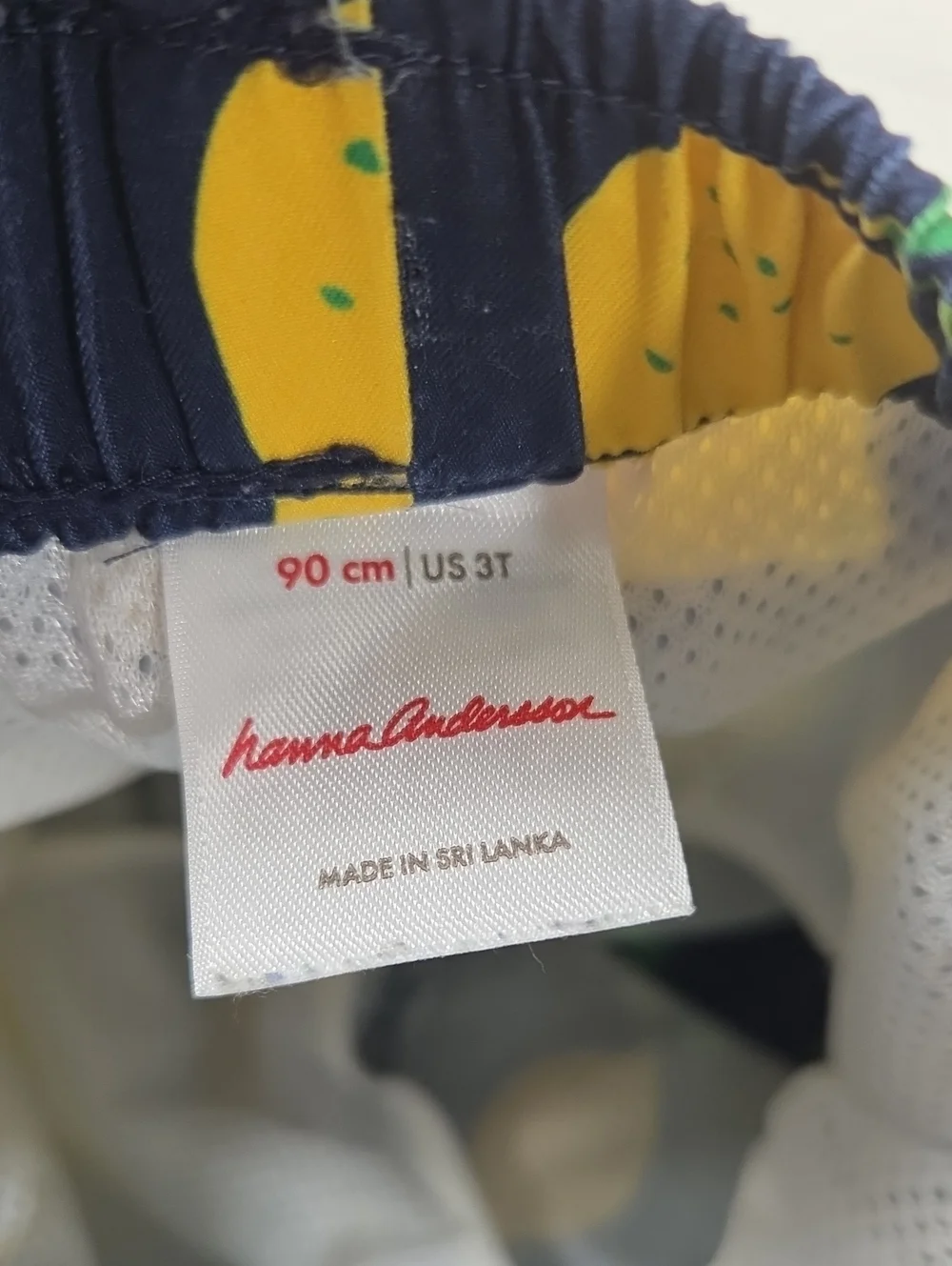 Hanna Andersson Lemon Swim Trunks Size 3T
